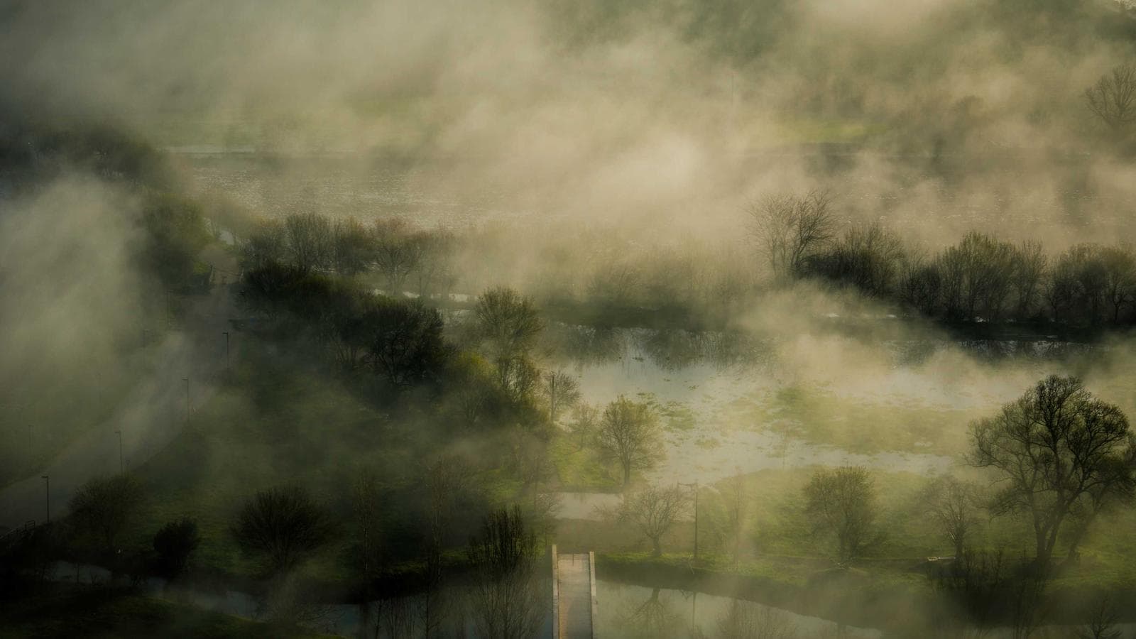 Parenting Facts and Statistics: The 2025 Data That's Changing Everything We Thought We Knew