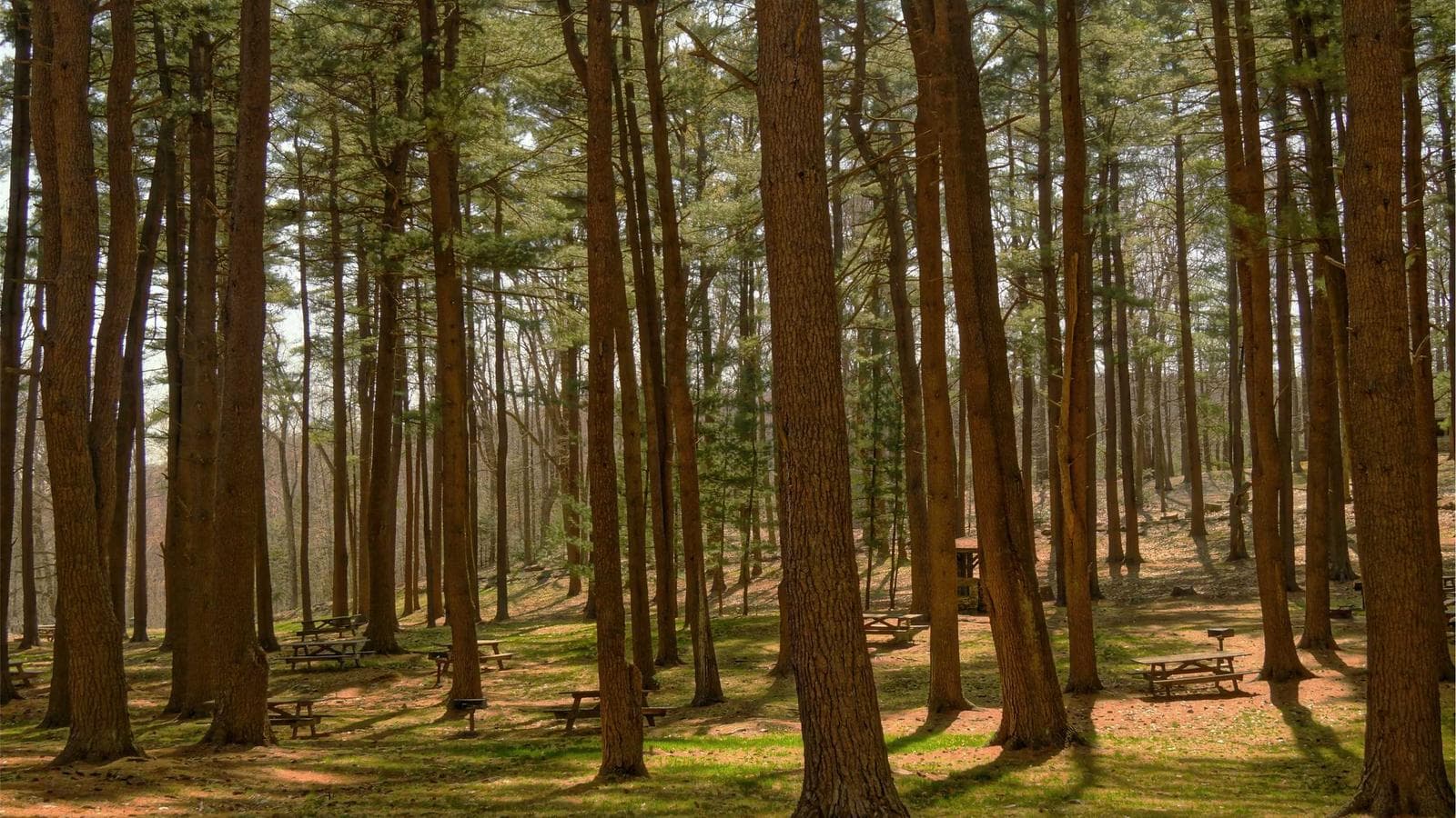 Parenting Facts and Statistics: 11 Numbers That Will Change How You See Your Family in 2025