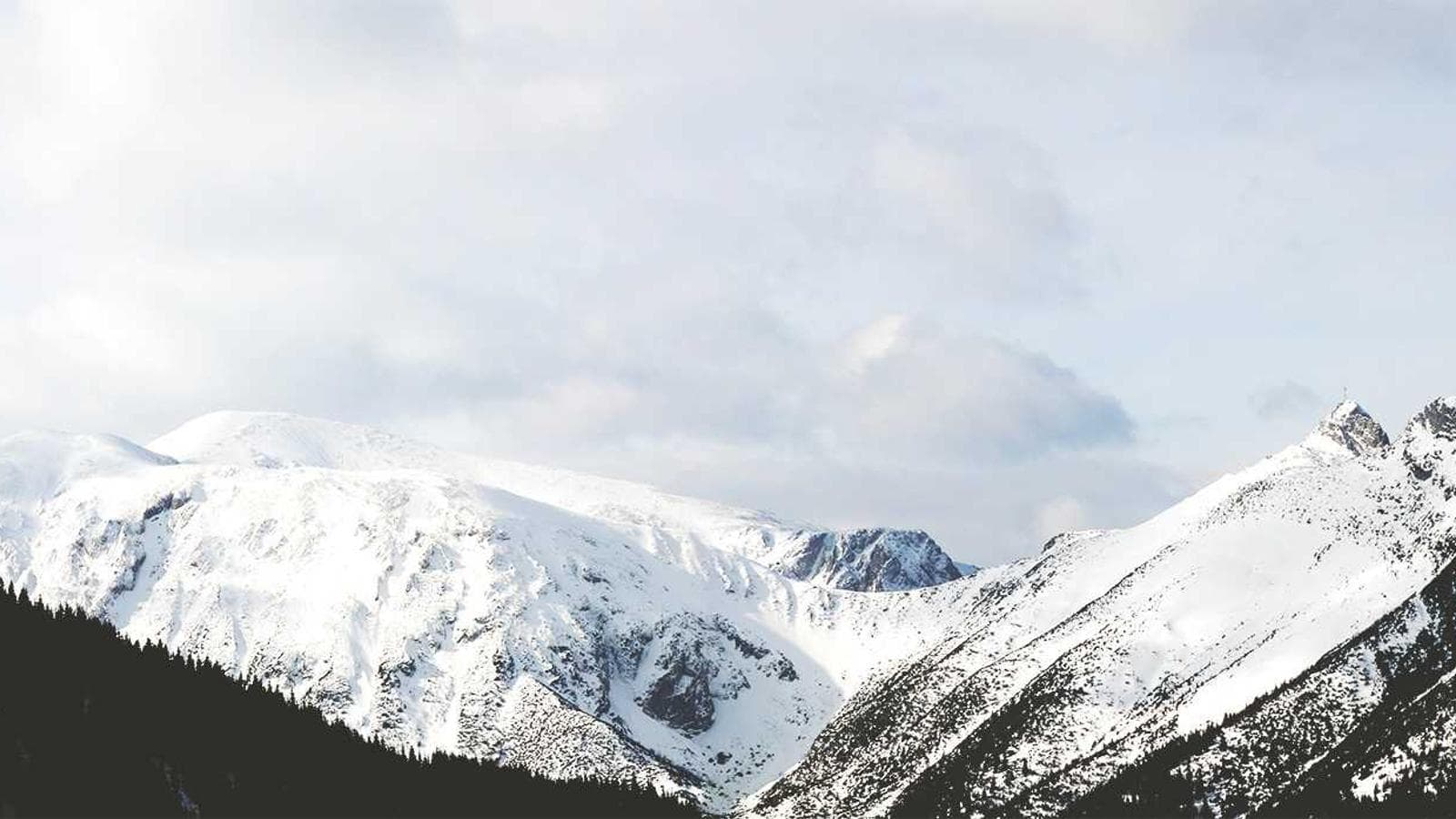 Parenting Facts and Statistics: What 2025 Research *Actually* Says About Raising Great Kids