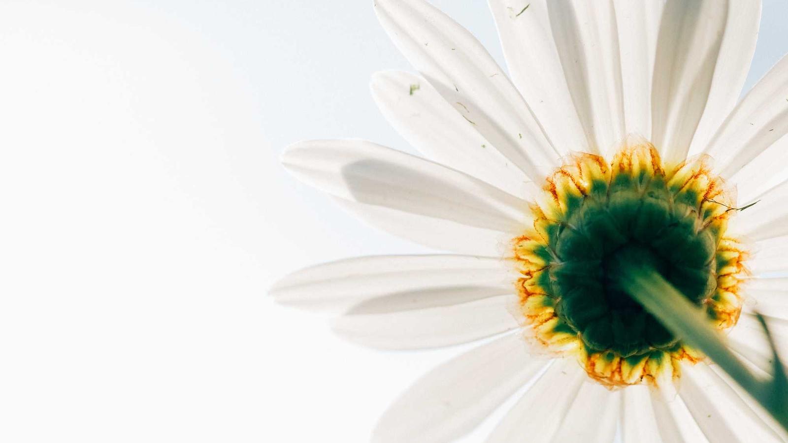 Family Communication Tips: Why 'Talking More' Is Terrible Advice